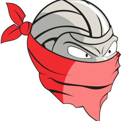 VOLLEYBALL BANDIT RQC Thumbnail