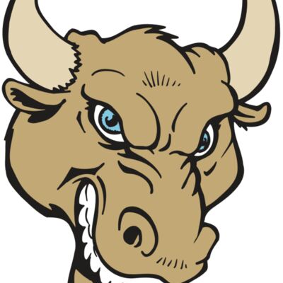 AR5 BULL 13 RQC Thumbnail