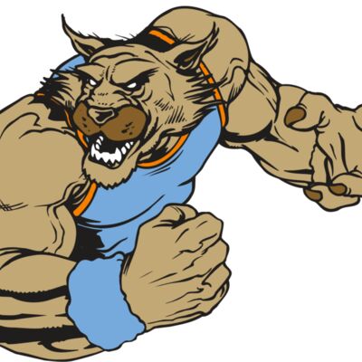 AR WILDCAT 46 RC Thumbnail