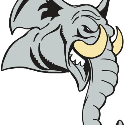 AR5 Elephant 12 RQC Thumbnail