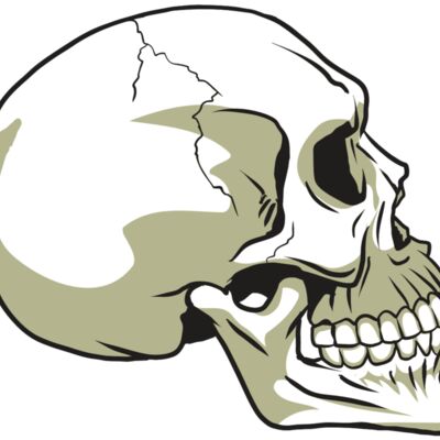 AR24 SKULL 12 RQC Thumbnail