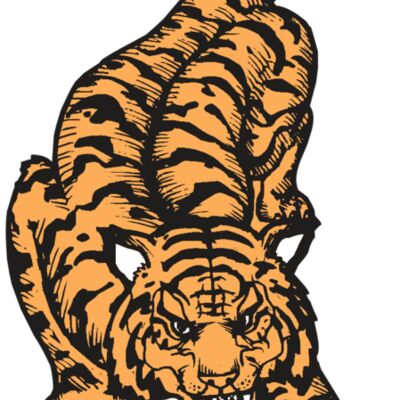 BAW TIGER 01 RC Thumbnail