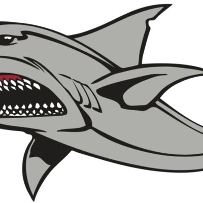 BAW SHARK 03 RC Thumbnail