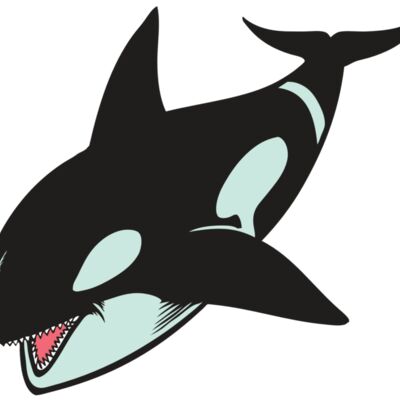 BAW KLRWHALE 02 RC Thumbnail