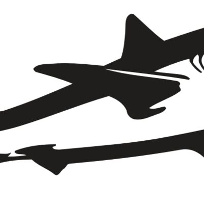 AR5 Shark 15 RQC Thumbnail