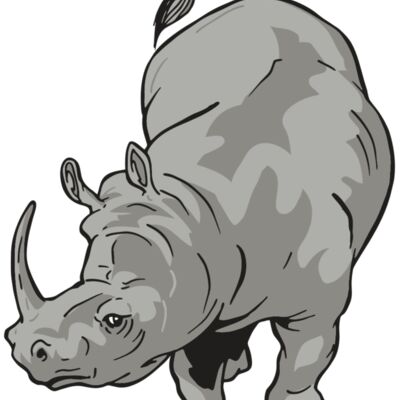 AR RHINO 12 RC Thumbnail