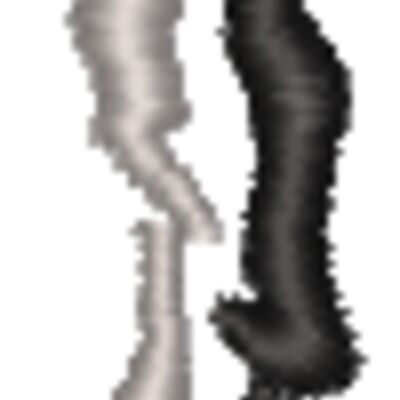 FA268 Thumbnail