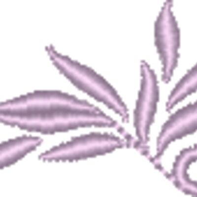 NZ794 Thumbnail