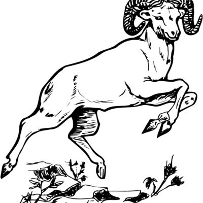 RAM014 Thumbnail