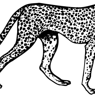 CHEETA02 Thumbnail