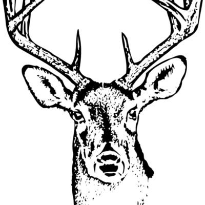 DEER010 Thumbnail