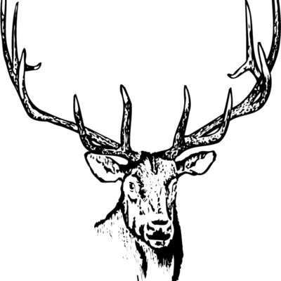 DEER015 Thumbnail