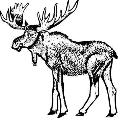 MOOSE005 Thumbnail
