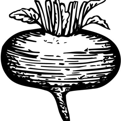 VEG018 Thumbnail