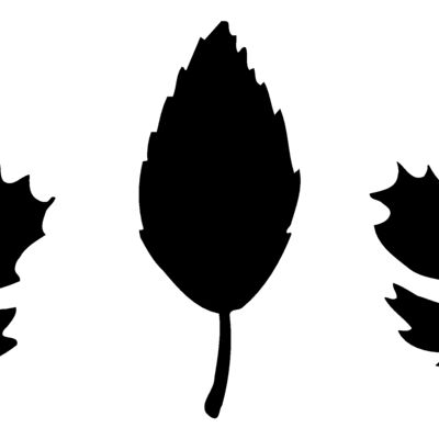 LEAF001 Thumbnail