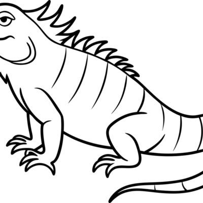Iguana   Clipart 1 Thumbnail