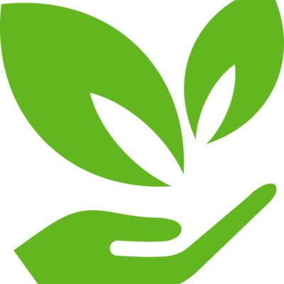 51 Leaves in hands Thumbnail